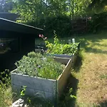 بيت للعطل Modern House With Kayaks Near Mols Bjerge